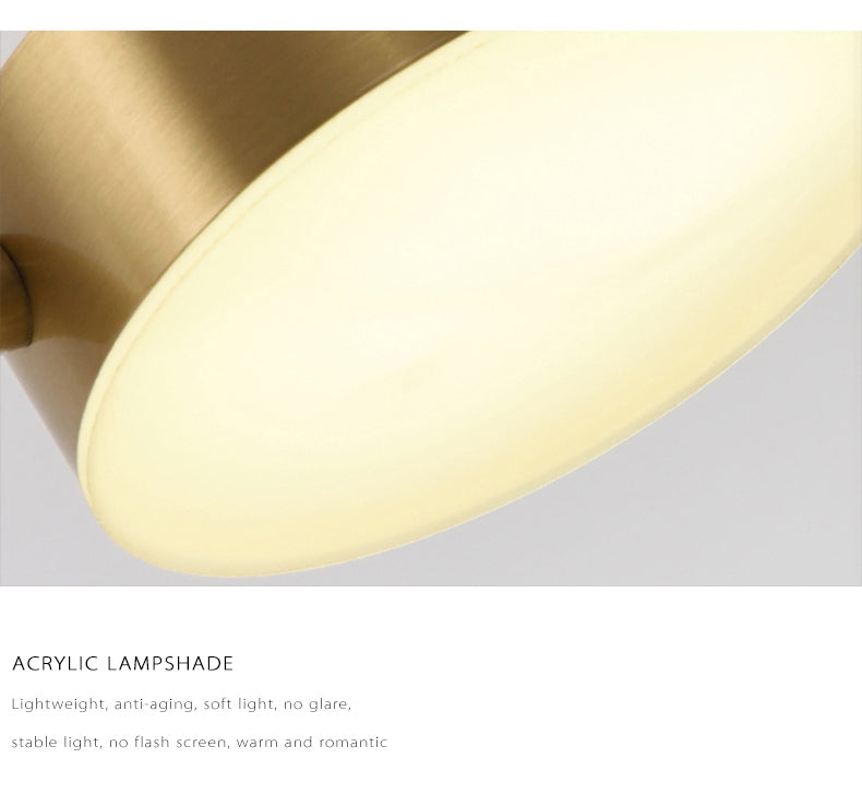 Modern LED Chandelier – Dimmable Multi-Head Ceiling Light