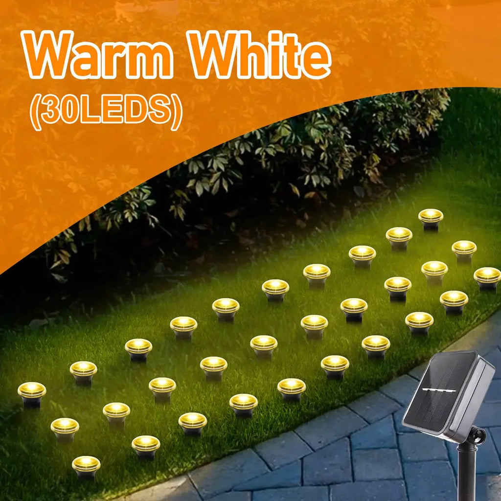 Solar Garden Pathway Light – 8 Modes, 15/30 LEDs, Waterproof