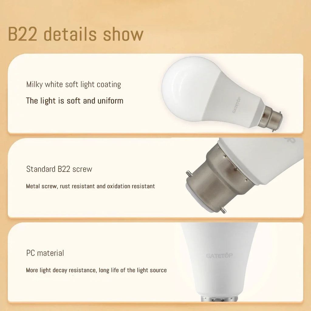 E27 LED-Lampen — 10er-Pack, A60 & G45, 3W–24W, 3 Farbtemperaturen