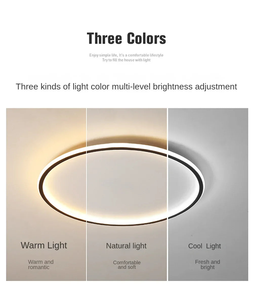 Nordic Minimalist LED Ceiling Light – Round, 20/30 cm, 3 Colors