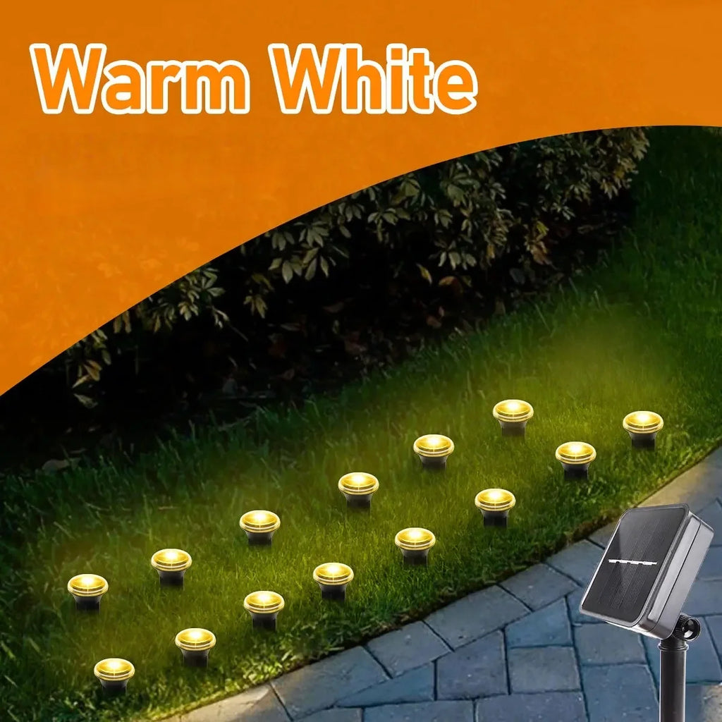 Solar Garden Pathway Light – 8 Modes, 15/30 LEDs, Waterproof